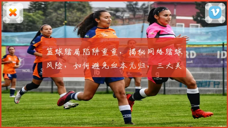篮球赌局陷阱重重，揭秘网络赌球风险，如何避免血本无归，三大关键提示