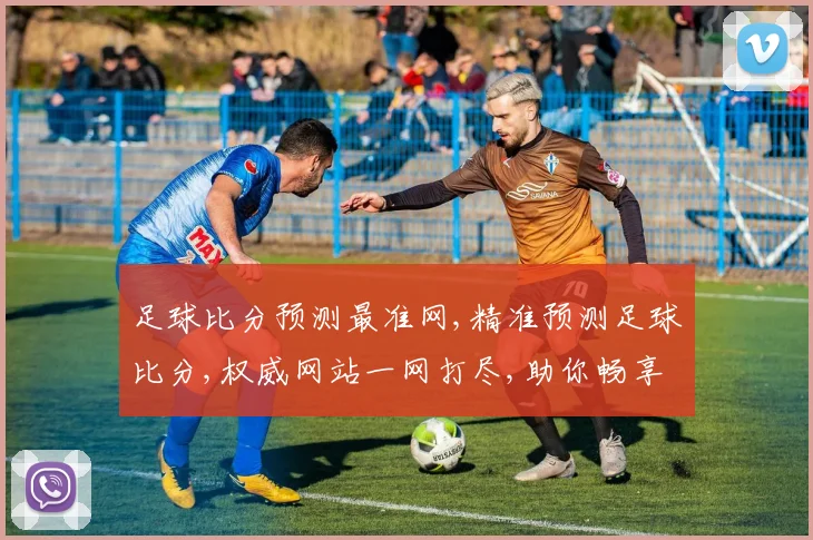 足球比分预测最准网,精准预测足球比分,权威网站一网打尽,助你畅享赛事