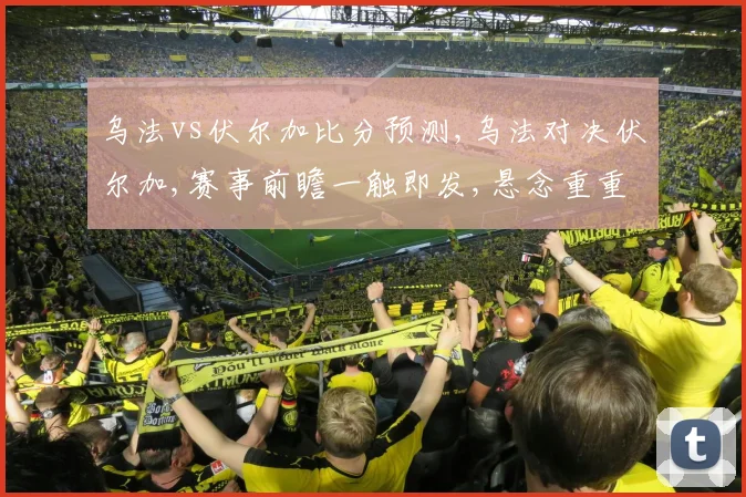 乌法vs伏尔加比分预测,乌法对决伏尔加,赛事前瞻一触即发,悬念重重
