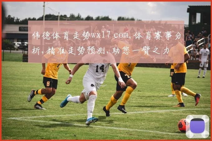 伟德体育走势wx17 com,体育赛事分析,精准走势预测,助您一臂之力